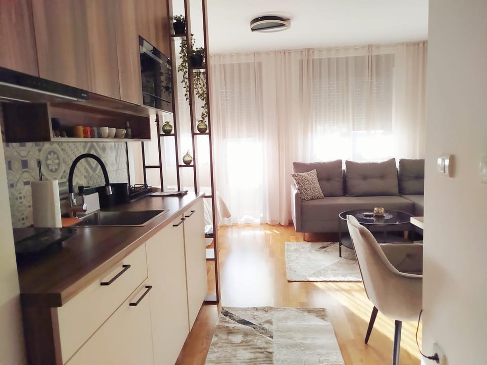 City Studio Apartment in Vojvodina