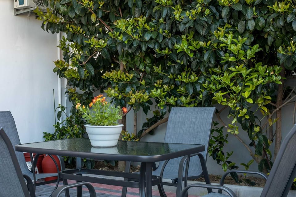 Patio, Garden