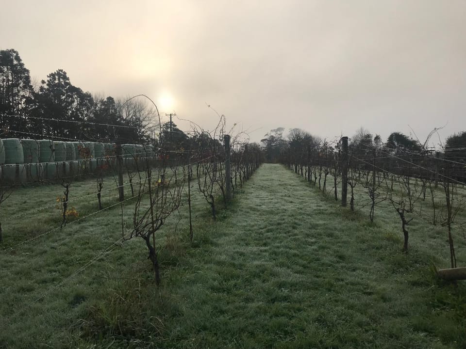 Vineyard Cottages - Kumeu Hotel in Auckland