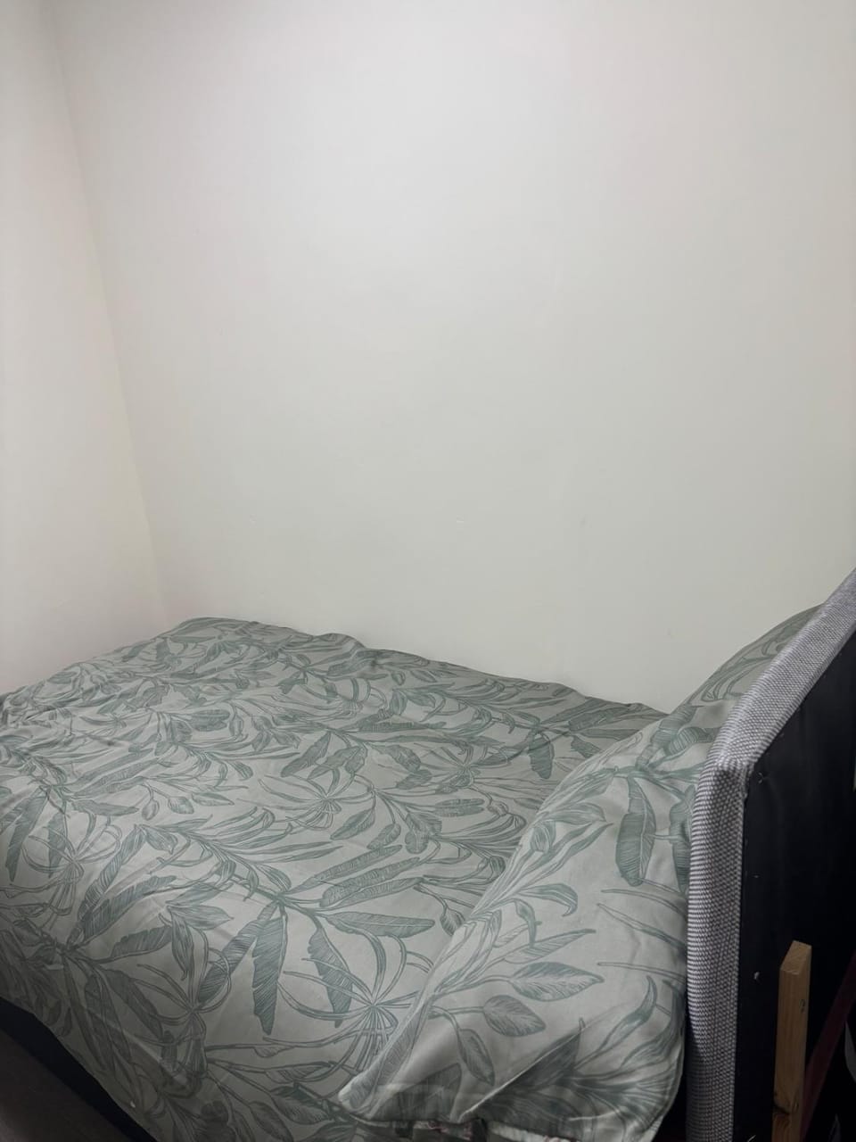 Your choice apartment Apartment in Bristol