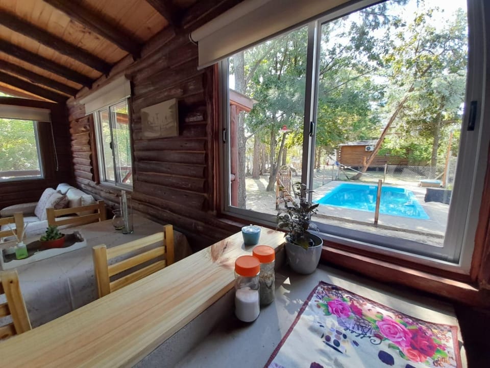 Garden, Pool view, Swimming pool