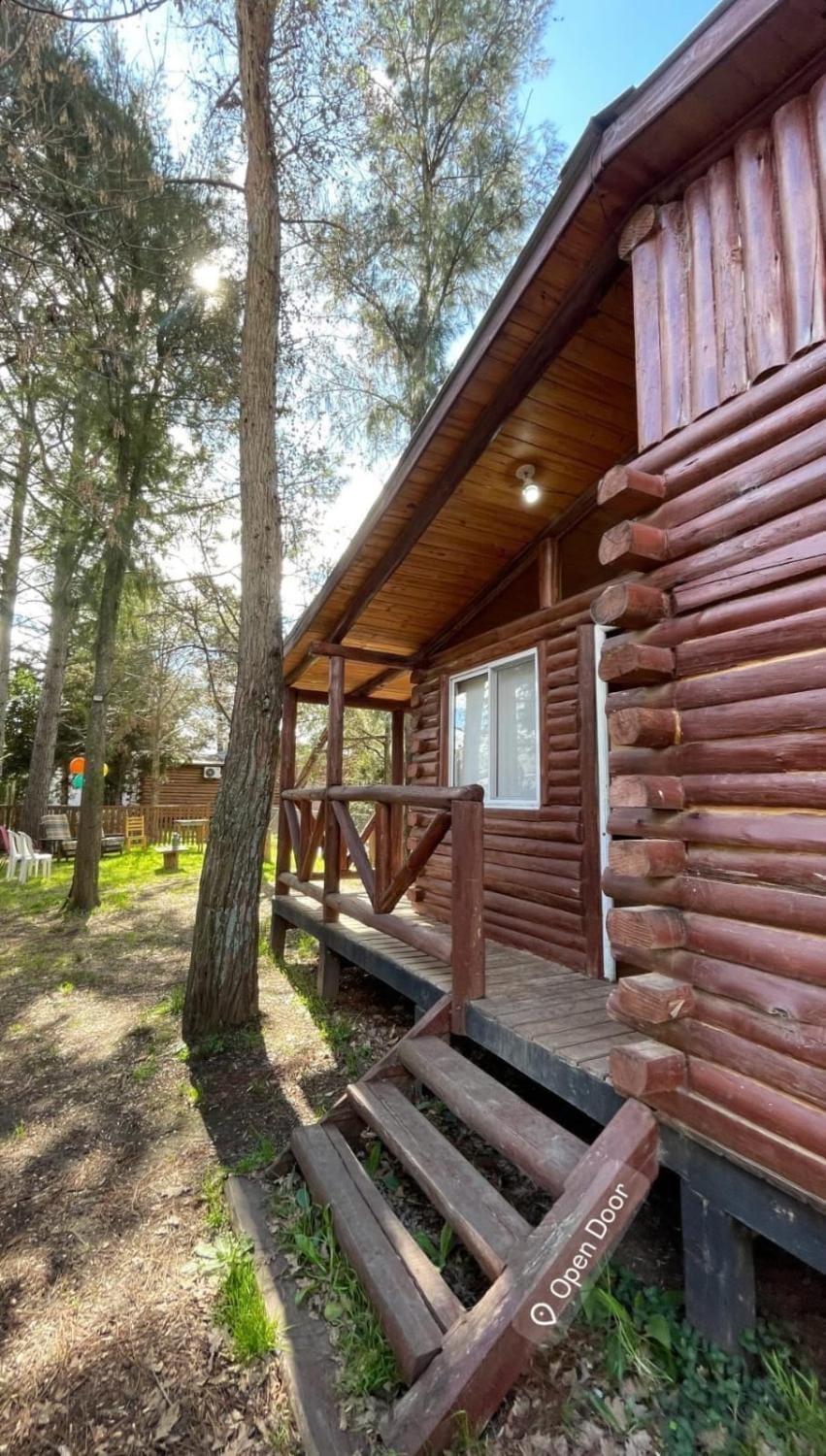 Property building, Day, Garden