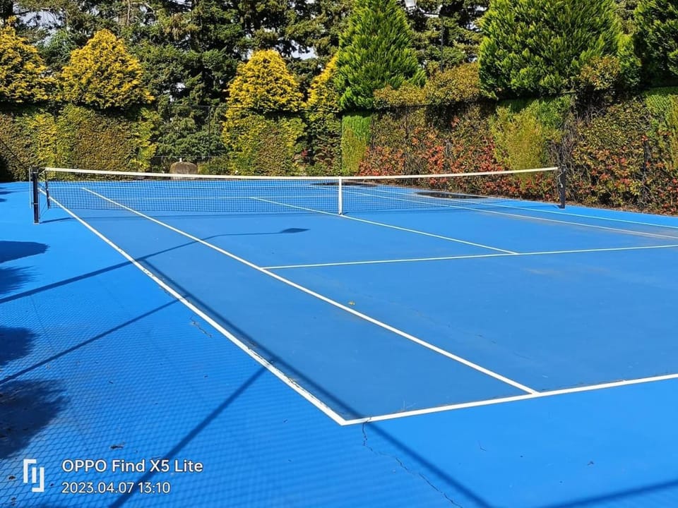Tennis court