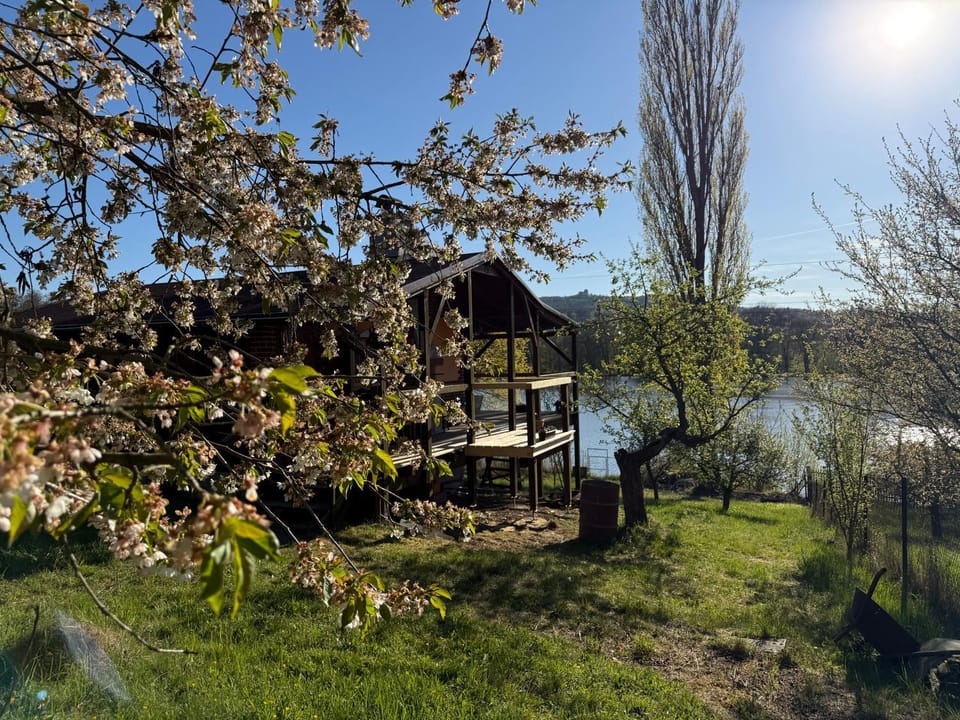 Natural landscape, Garden, Lake view