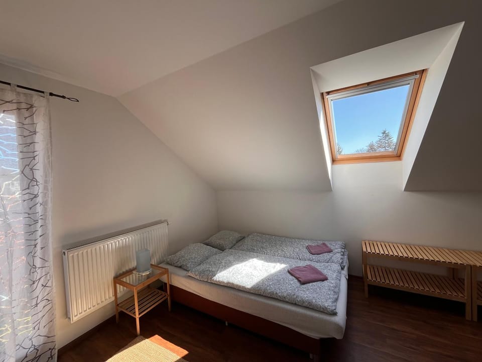 Vinařství Škarecký - Penzion u Staně Bed and Breakfast in South Moravian Region