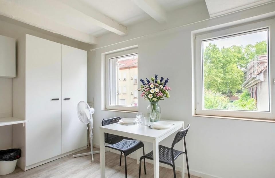Doux Pavillon - Le Pin Apartment in Mulhouse