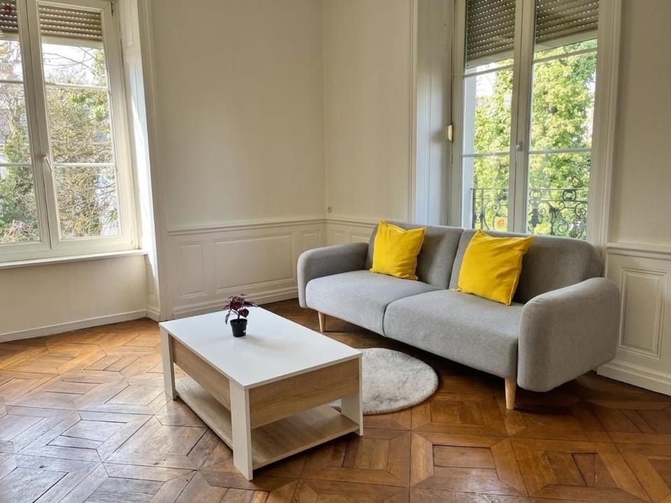 Doux Pavillon - Le Belvédère Apartment in Mulhouse