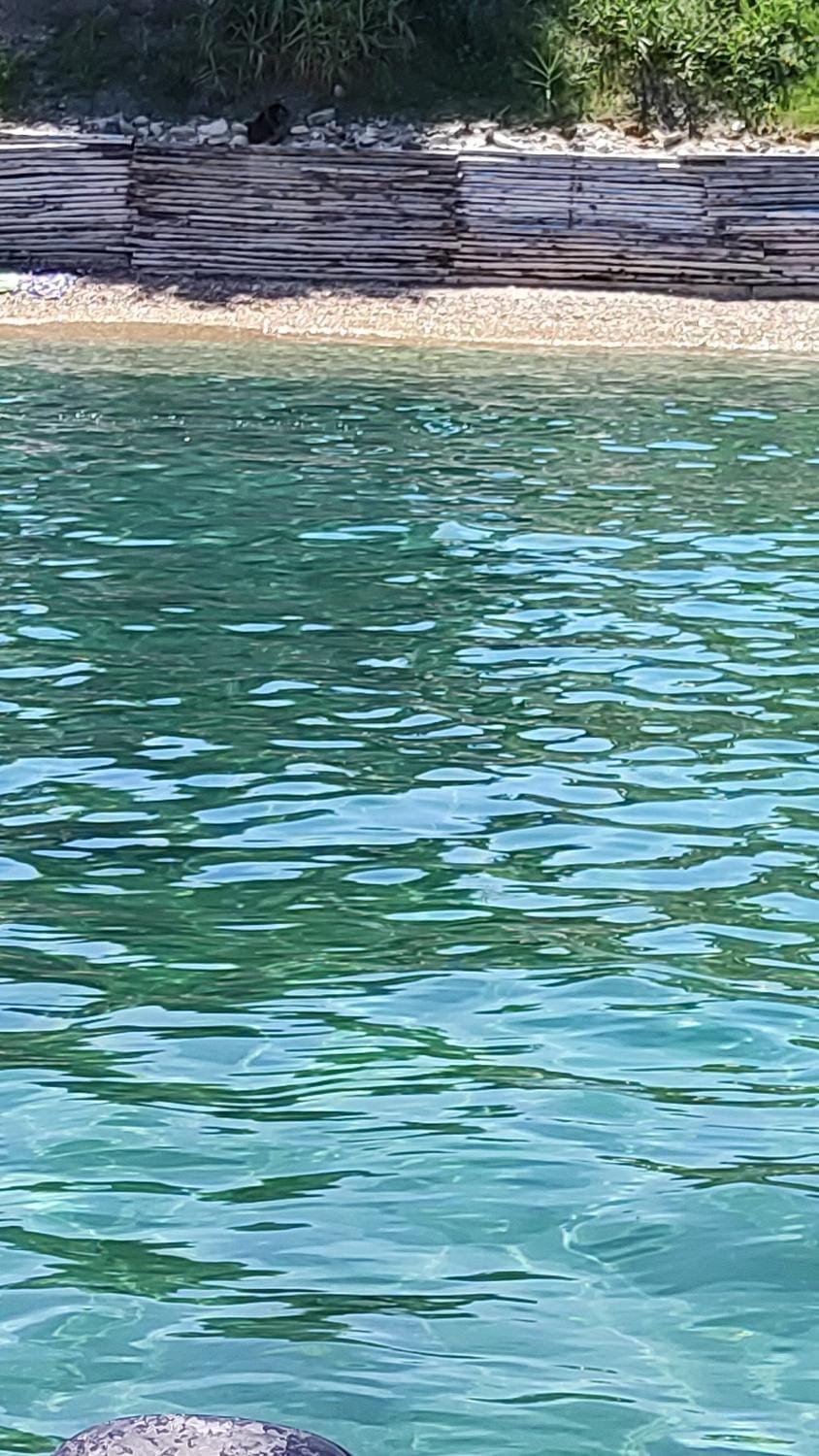 Toro loco beach Apartment in Piombino