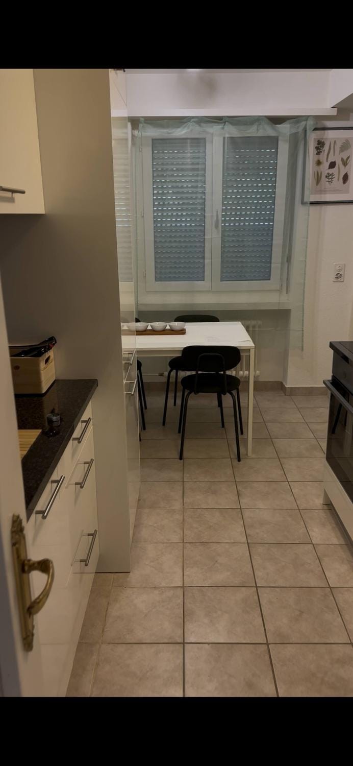 Furnished Apartment in Baden Apartment in Baden