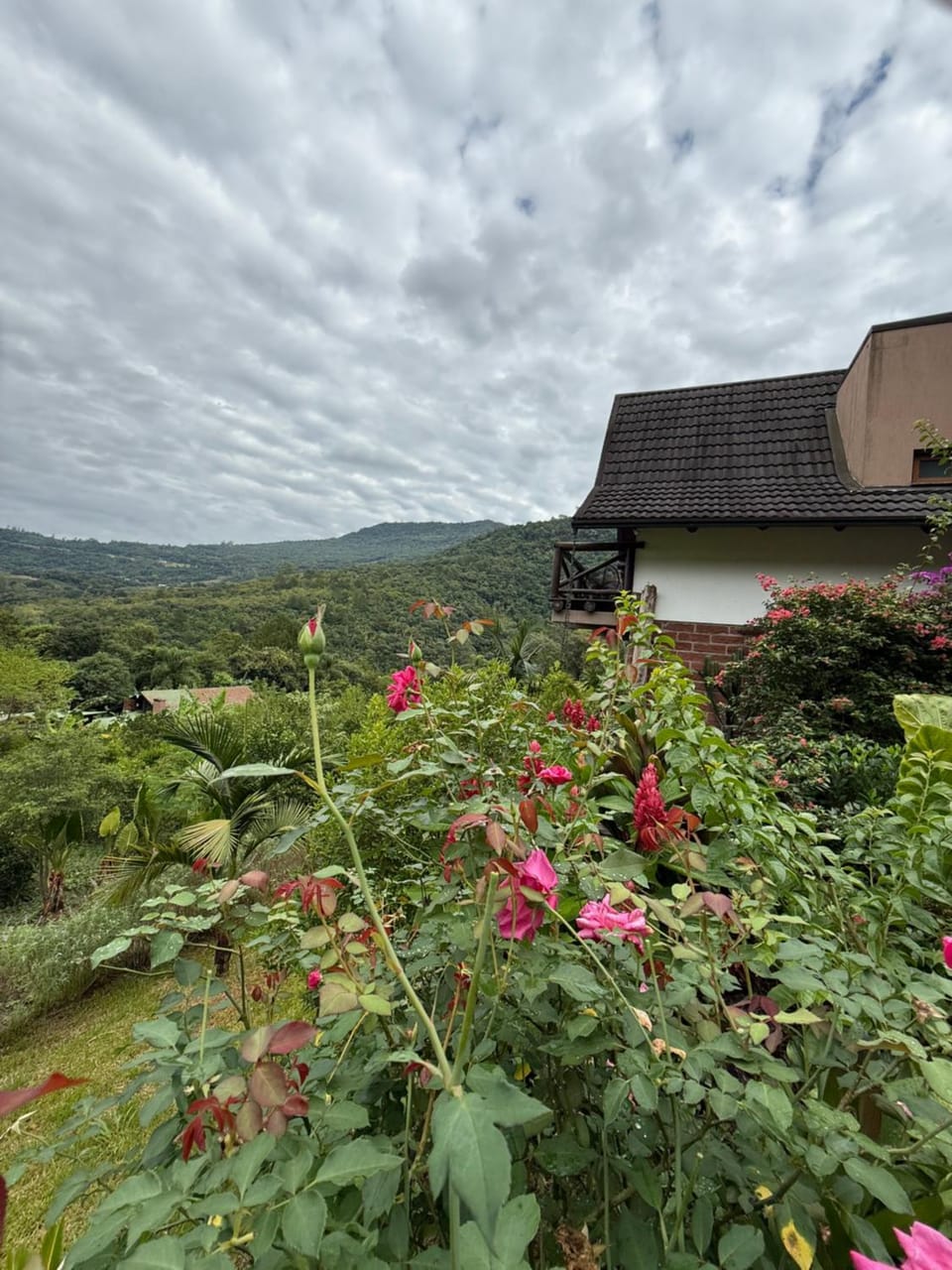 Natural landscape, Garden view