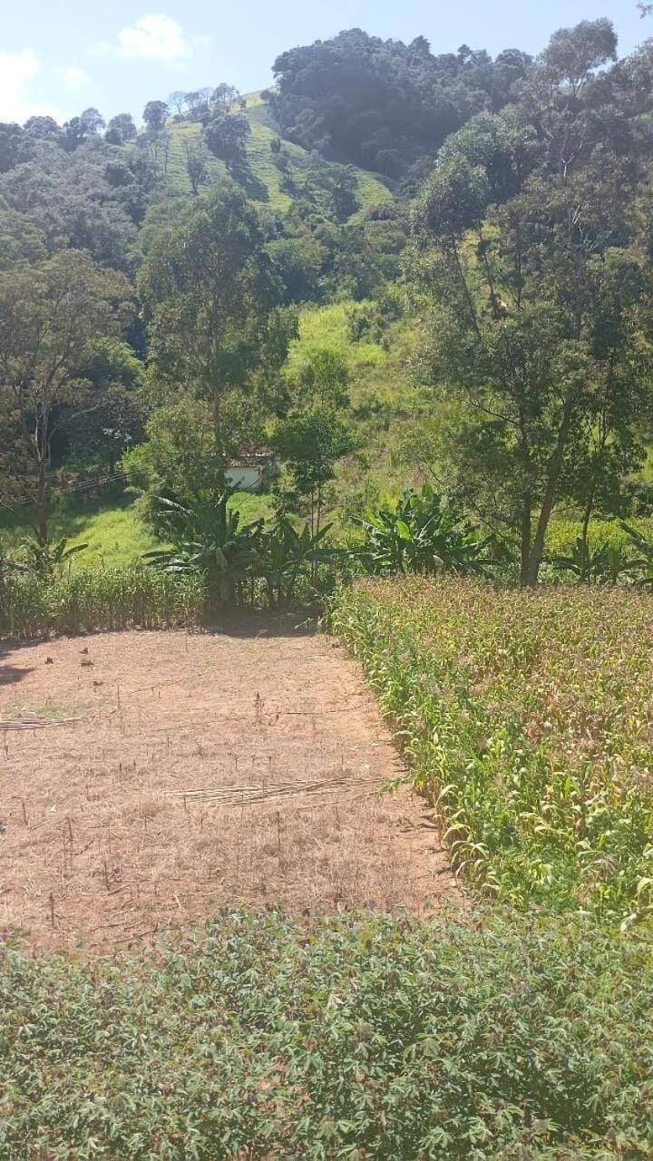Aconchego cantinho do mato House in State of São Paulo