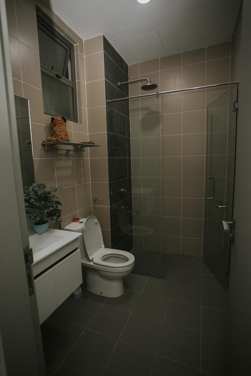 Shower, Toilet, Bathroom, bidet