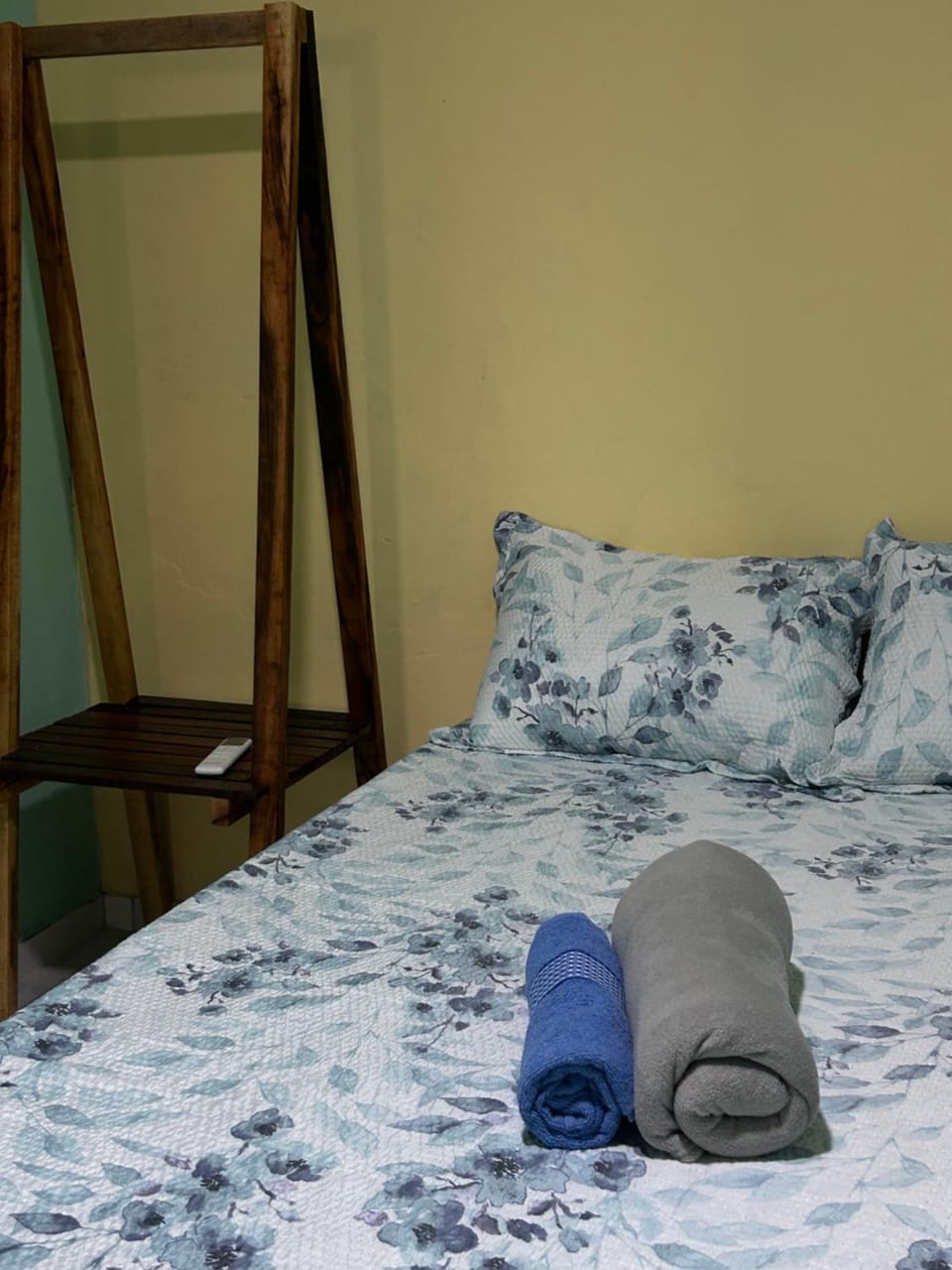 Quarto Boto Tucuxi Bed and Breakfast in Alter do Chão