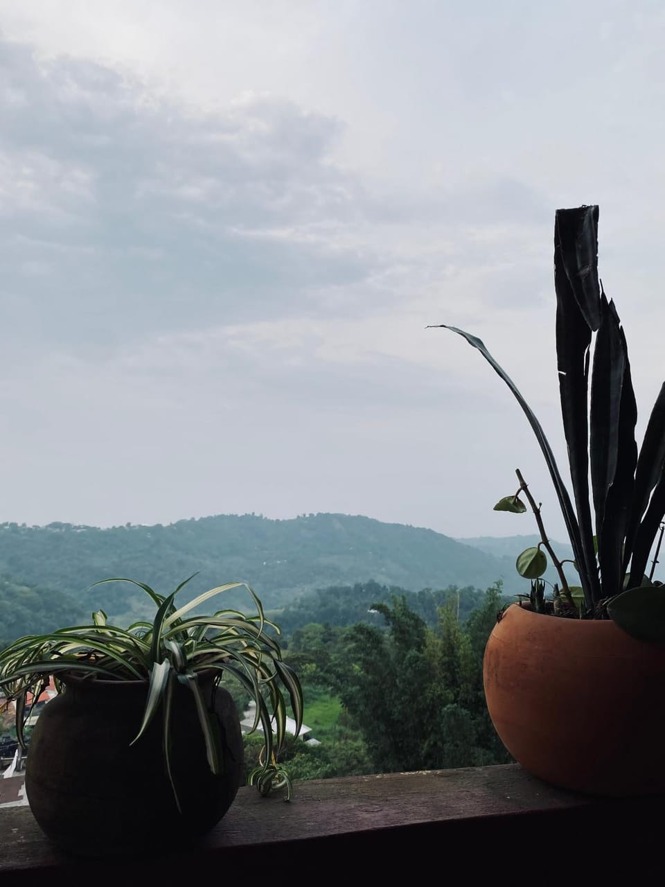 Balcony/Terrace, Mountain view, Area and facilities