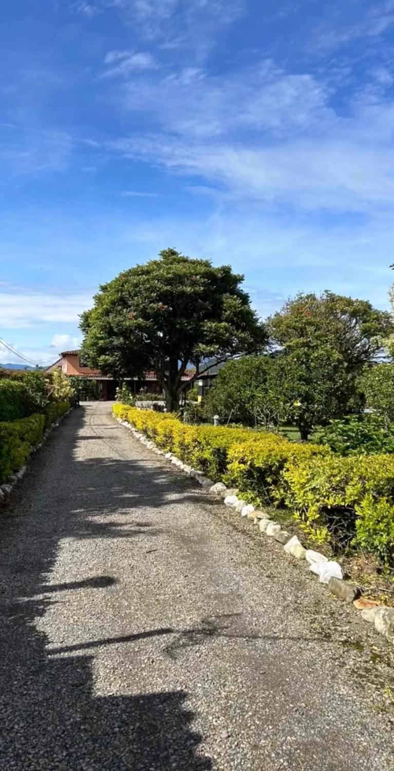 Property building, Natural landscape