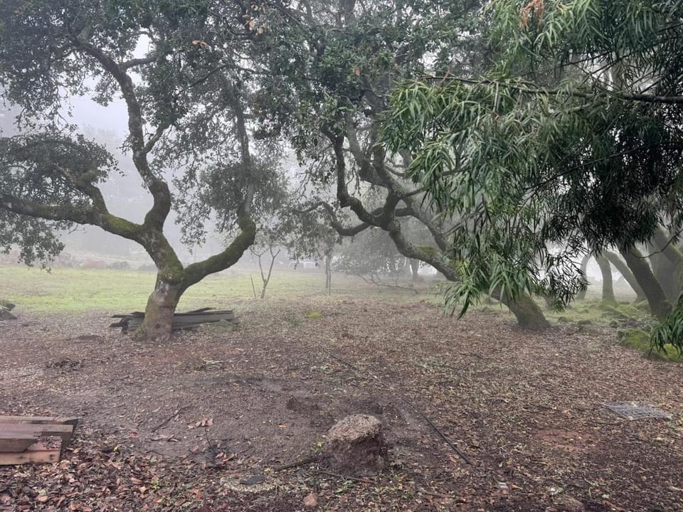 Sonoma Paradise on the Ridge House in Santa Rosa