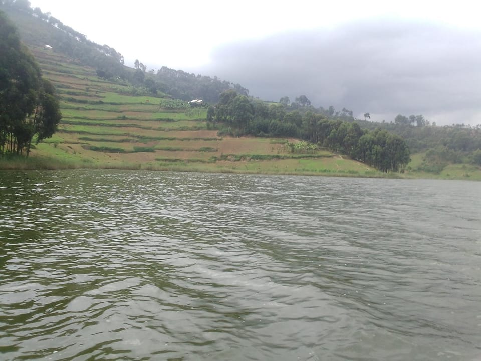 Lake bunyonyi DHA farm project Farm Stay in Uganda