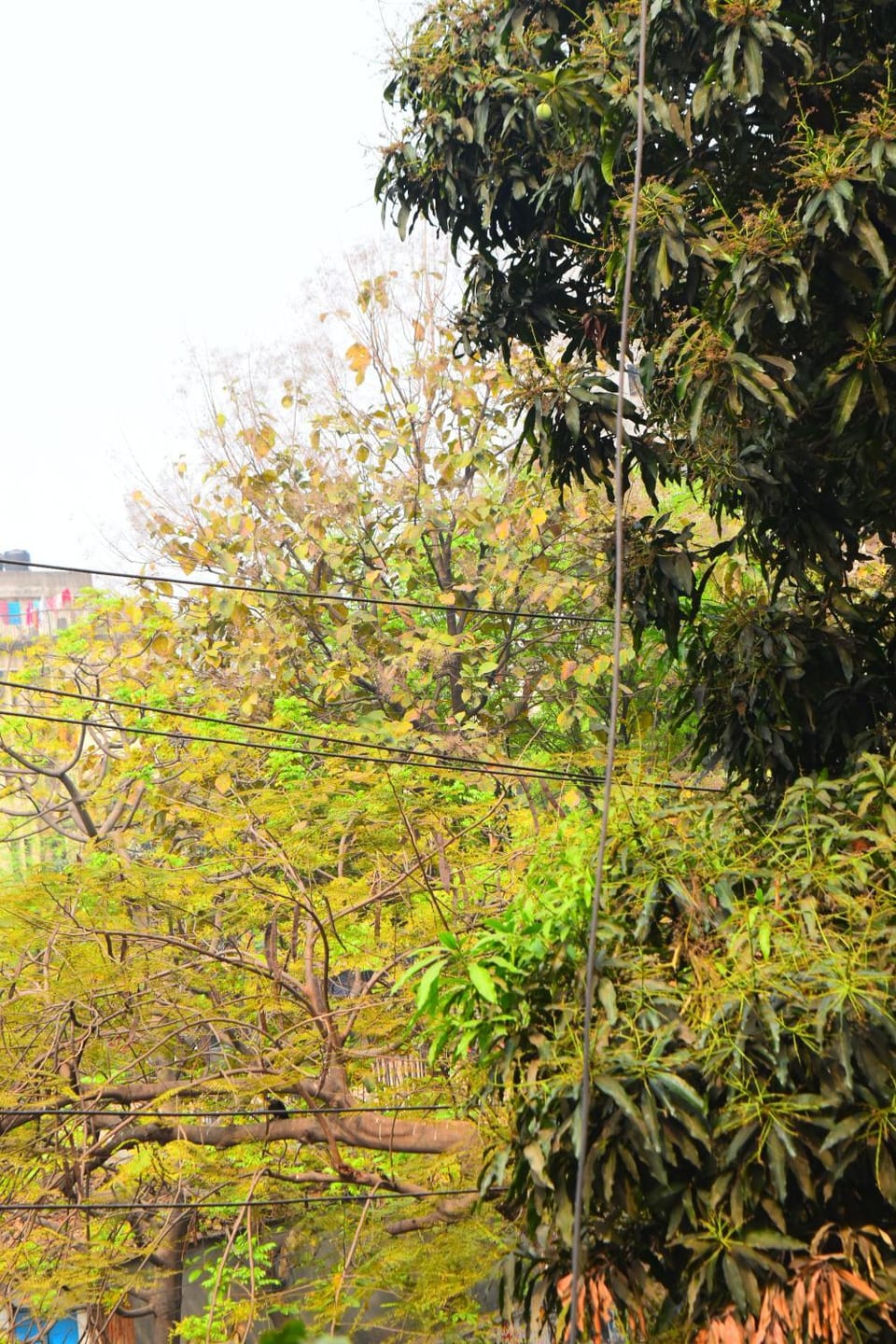 Natural landscape