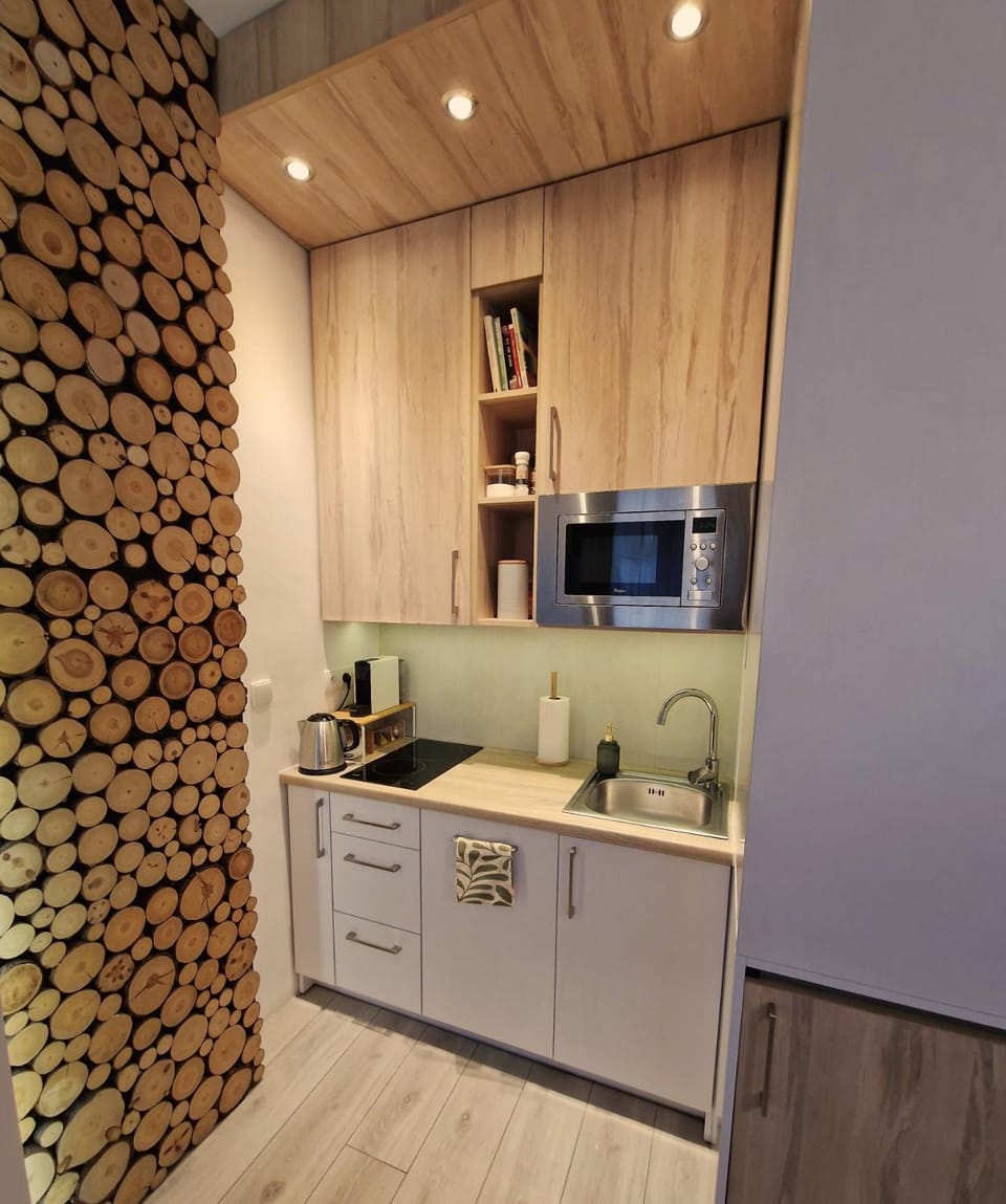 Na Parterze Apartment in Poland