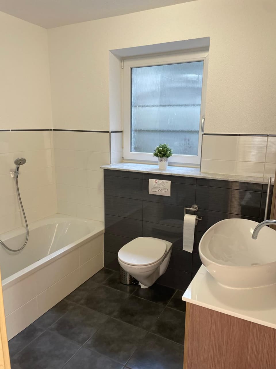 Beautiful and quit 2-room apartment Schmidt Apartment in Friedrichshafen
