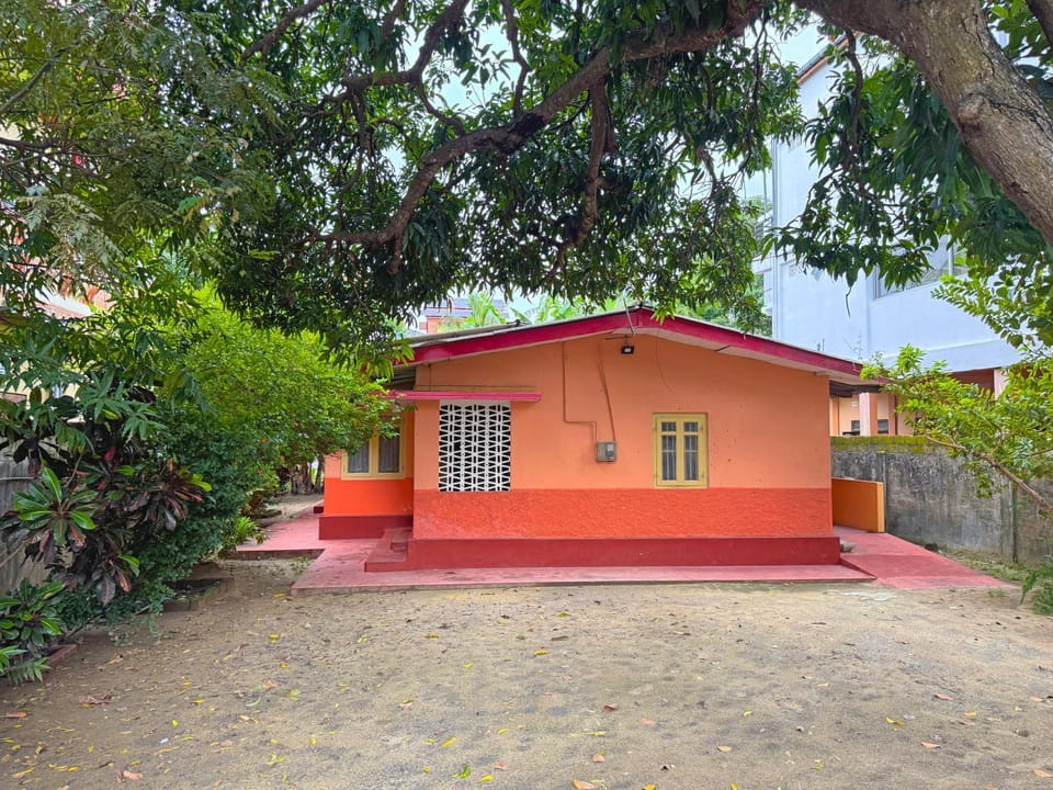 Property building, Day, Garden, Garden view