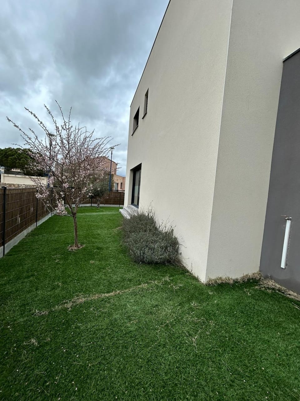 Property building, Garden view