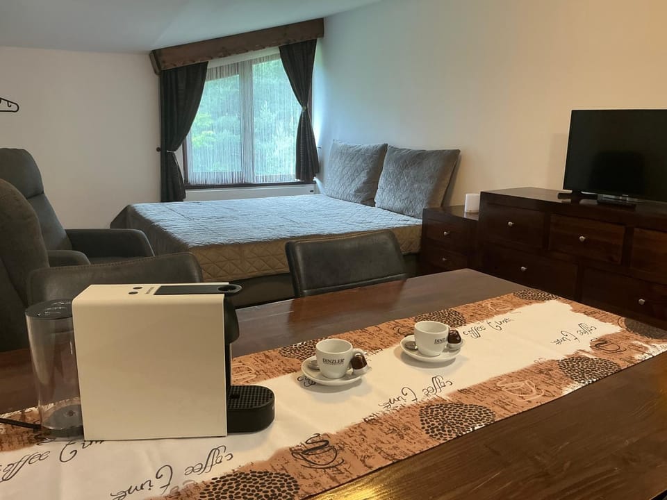 Bed, TV and multimedia, Coffee/tea facilities, Kitchen or kitchenette, Living room, Photo of the whole room, Seating area, Bedroom