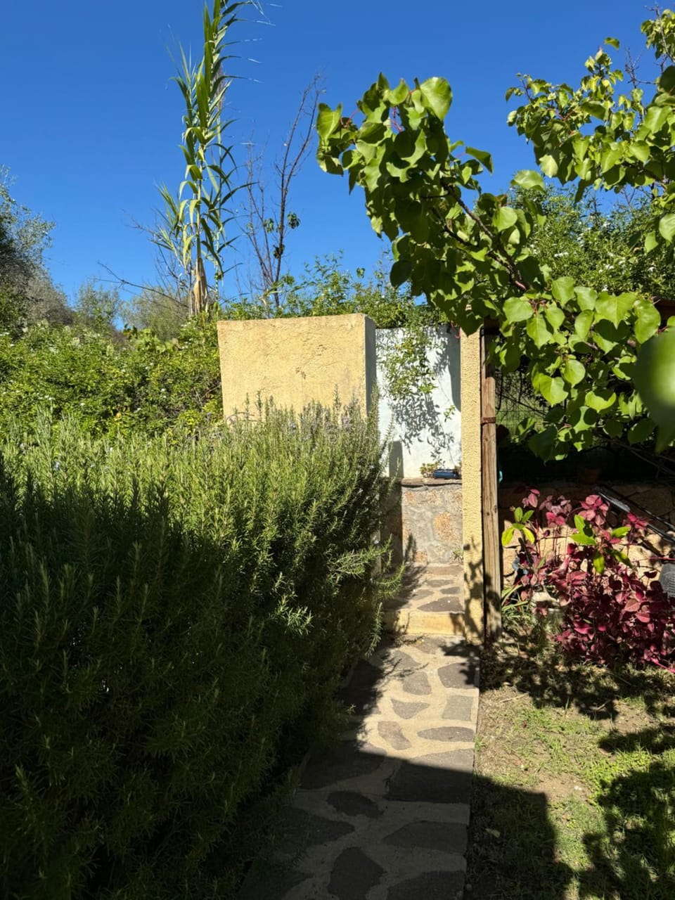 Casa vacanza Ortensia House in Sardinia