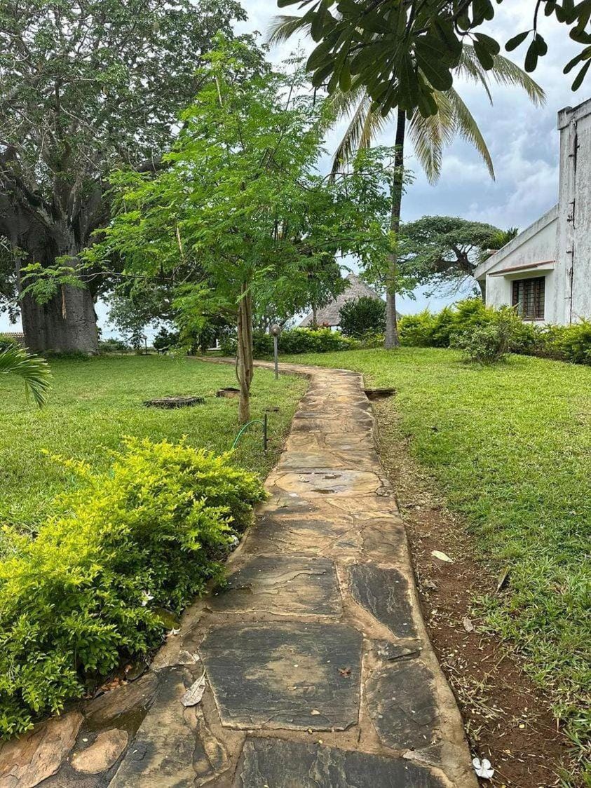 Garden, Garden view