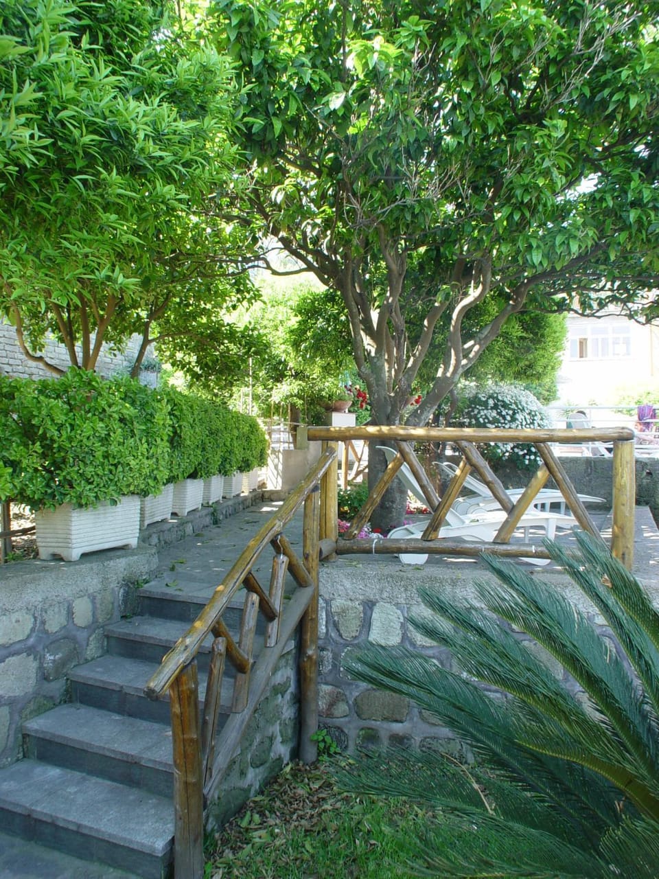 Natural landscape, Garden view