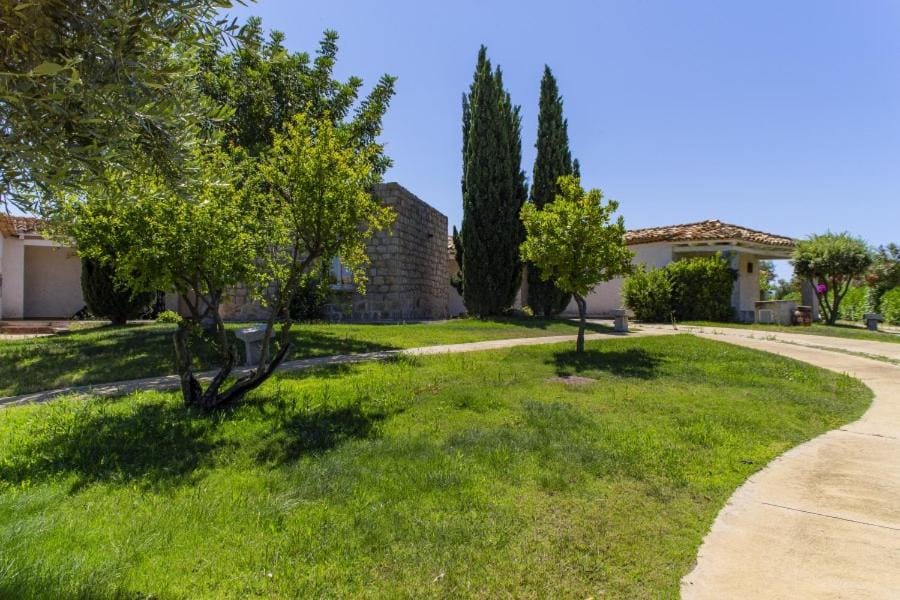 Day, Natural landscape, Garden, Garden view