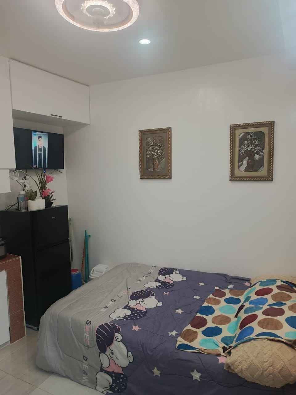 Photo of the whole room
