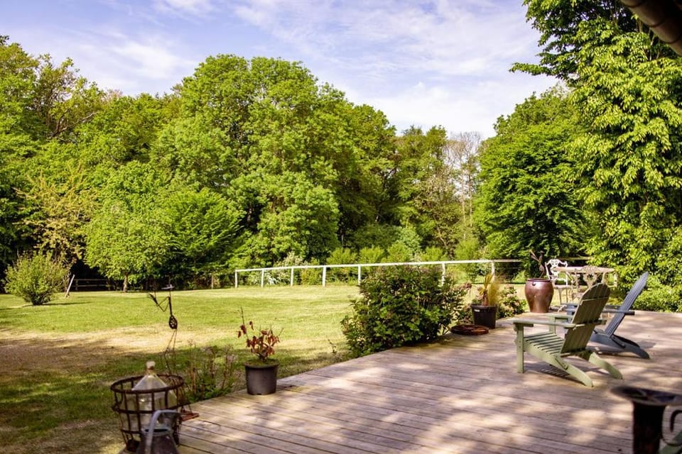 Spring, Natural landscape, Garden, Garden view