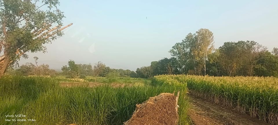 Ventura Resorts Resort in Maharashtra