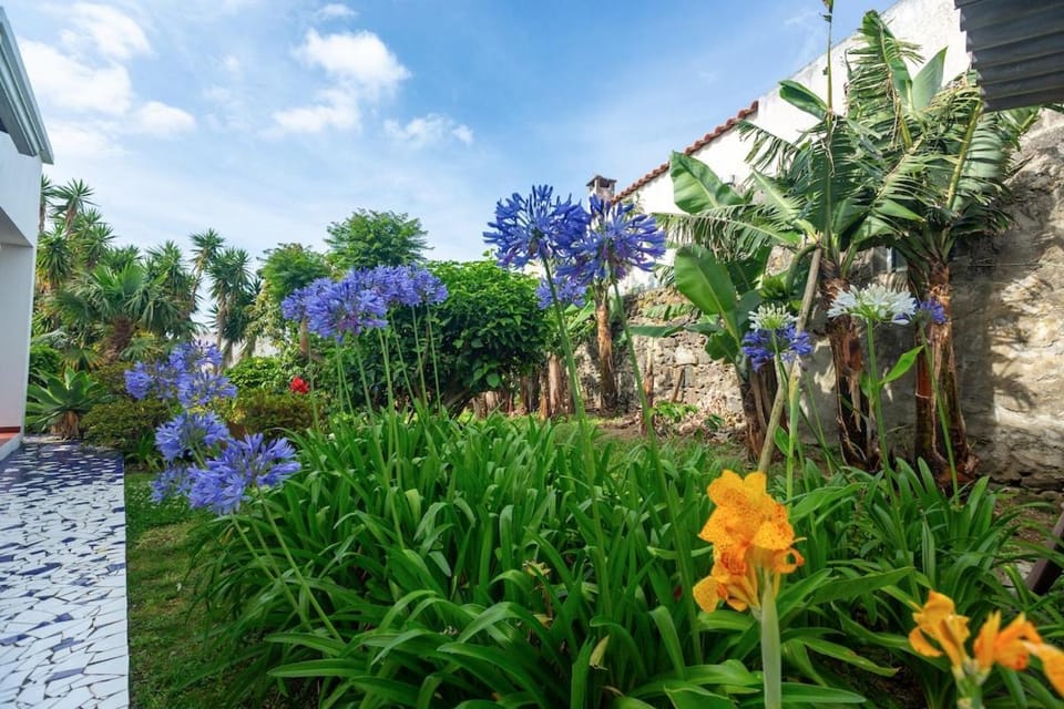 Casa Silke House in Vila Franca do Campo