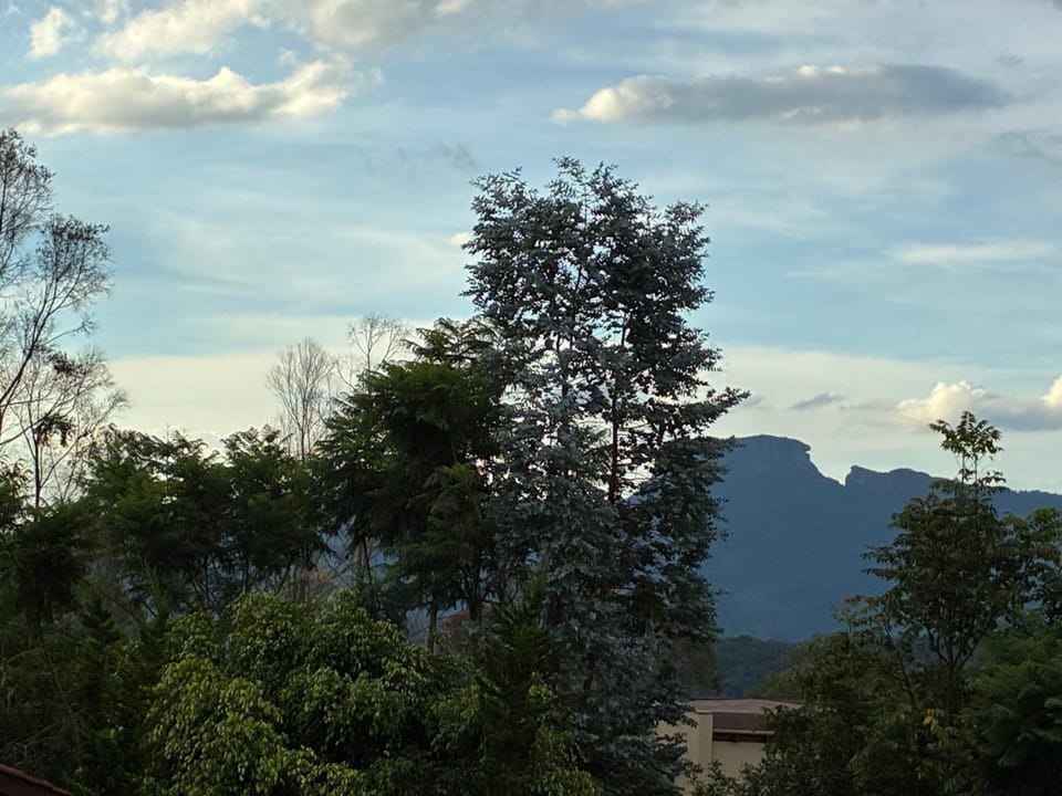 Natural landscape
