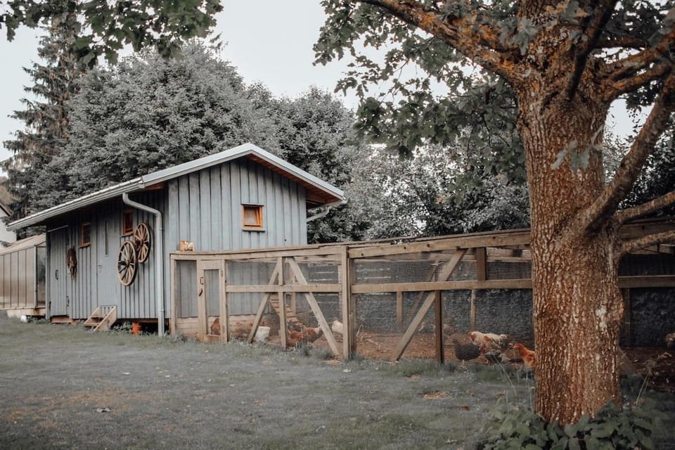 Holiday house with landscape garden House in Riga