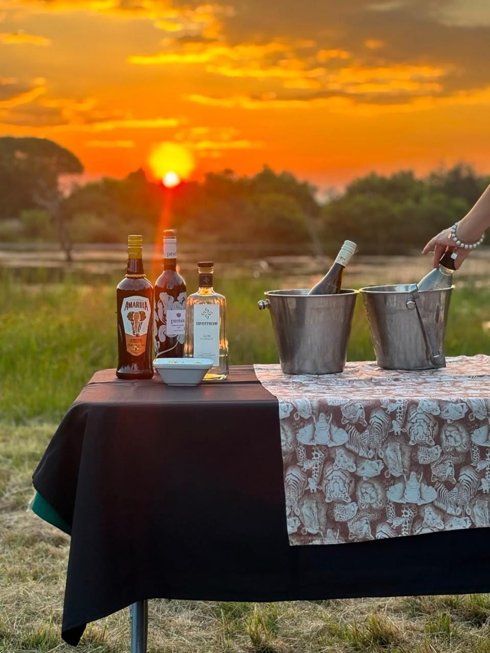Activities, Drinks, Sunset