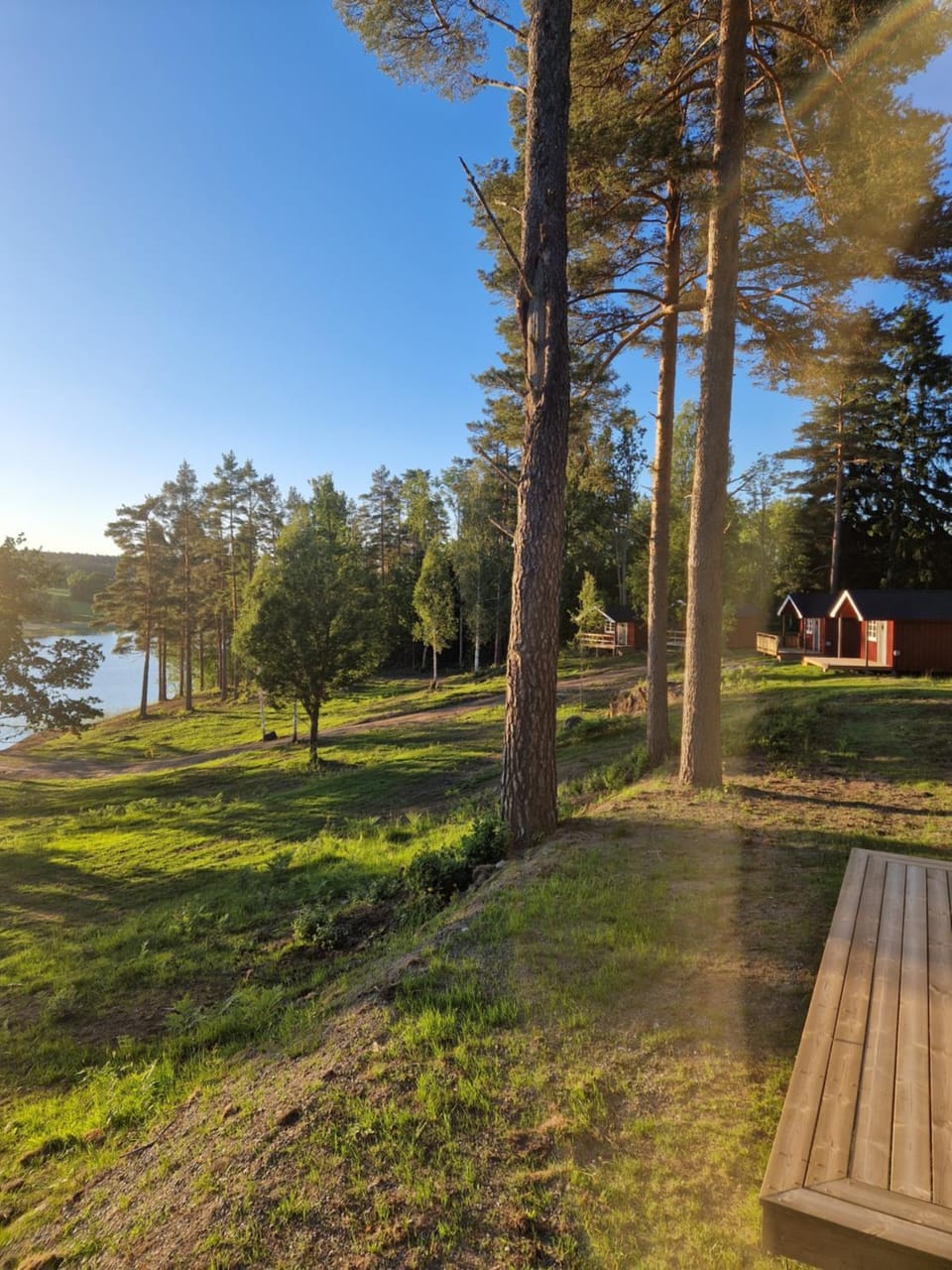 Lake view