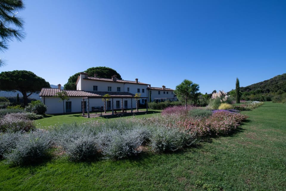 Torre Civette - Wine & Sea Retreat Farm Stay in Tuscany