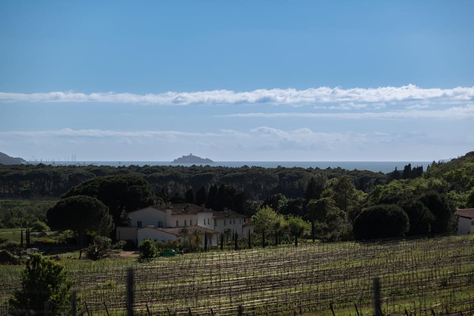 Torre Civette - Wine & Sea Retreat Farm Stay in Tuscany