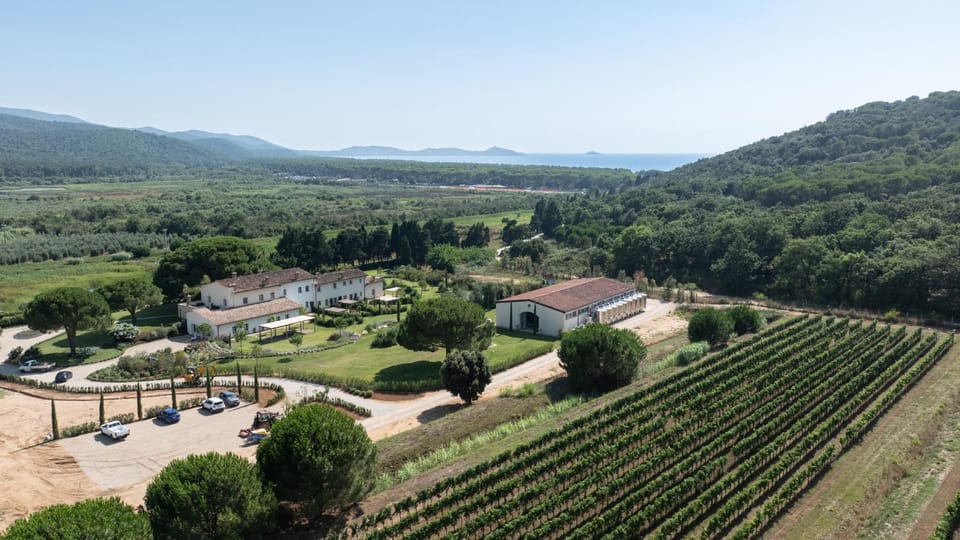 Torre Civette - Wine & Sea Retreat Farm Stay in Tuscany