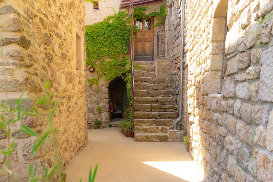 Domaine de l'Arbre Nouveau Bed and Breakfast in Provence