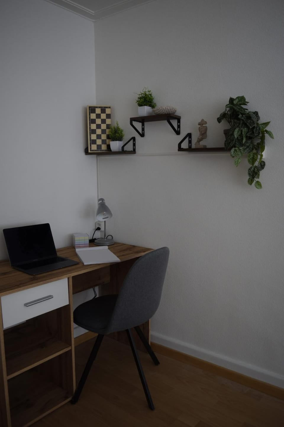 Photo of the whole room