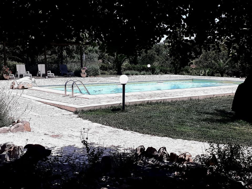 Library, Swimming pool