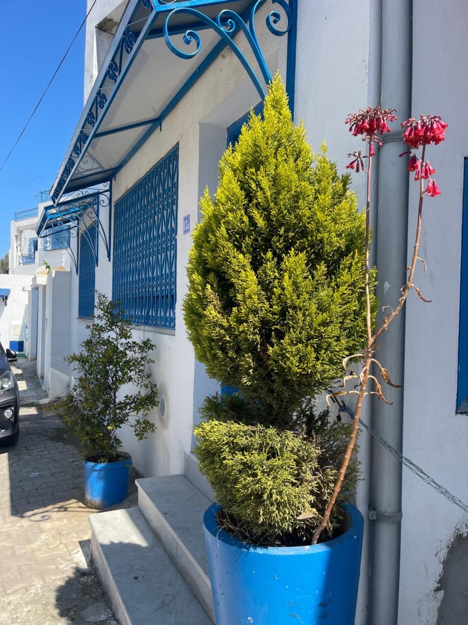 AT THE HEART OF SIDI BOU SAID A BLUE and WHITE PERLE Apartment in Tunis Governorate, Tunisia