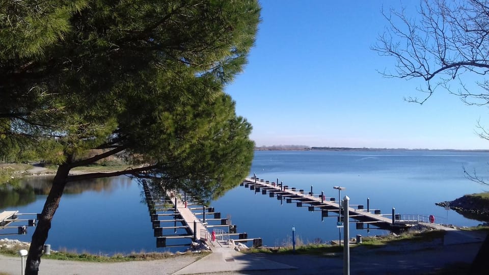 Lake view