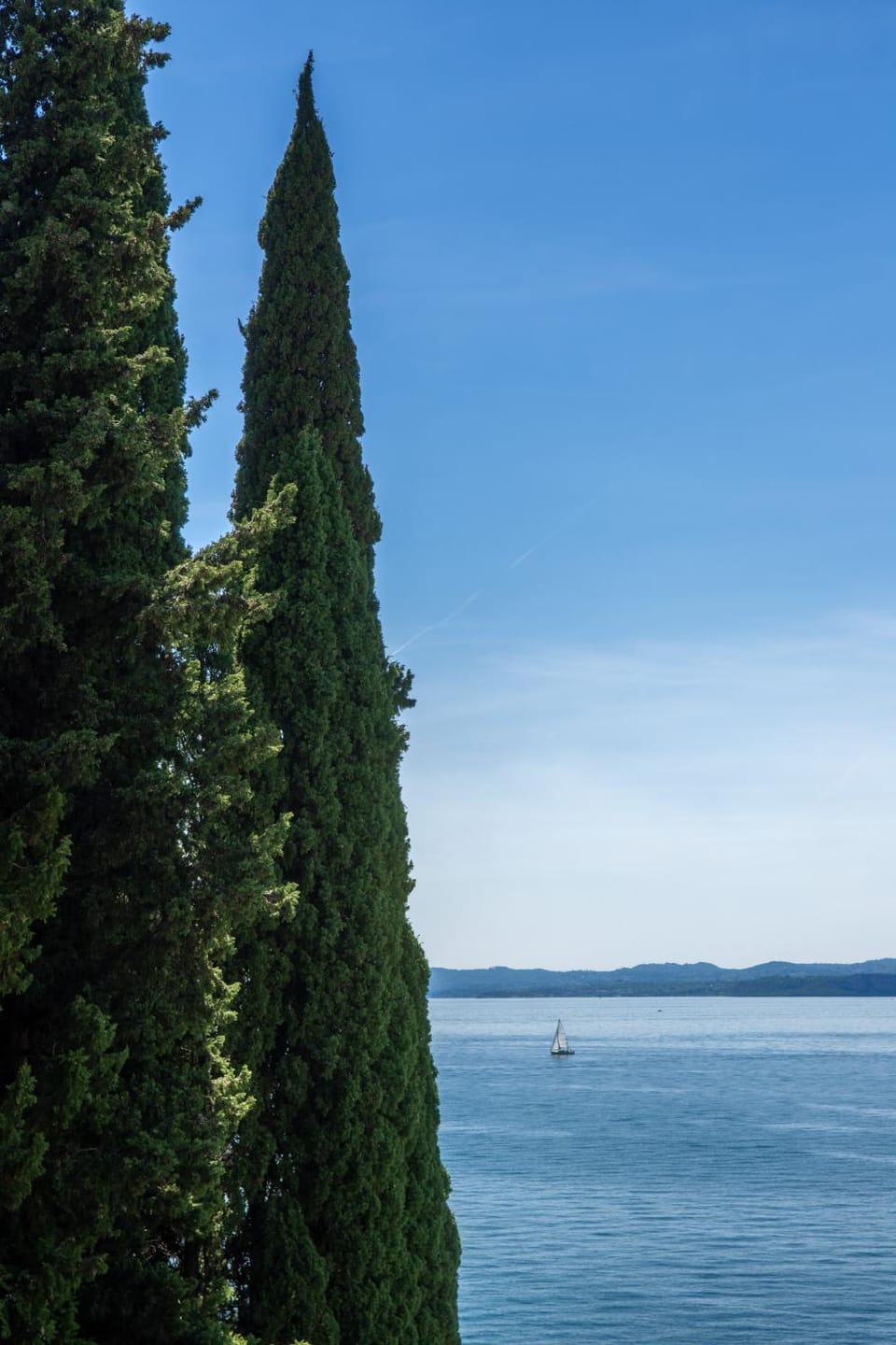 Lake view