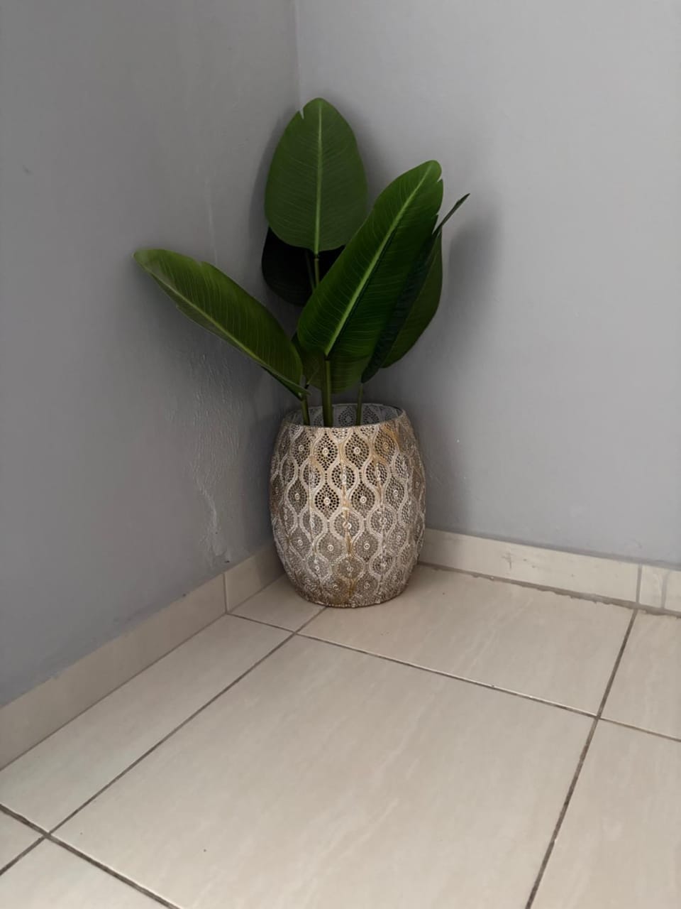 Unit 7-9 at Homely Escapes Bed and Breakfast in South Africa
