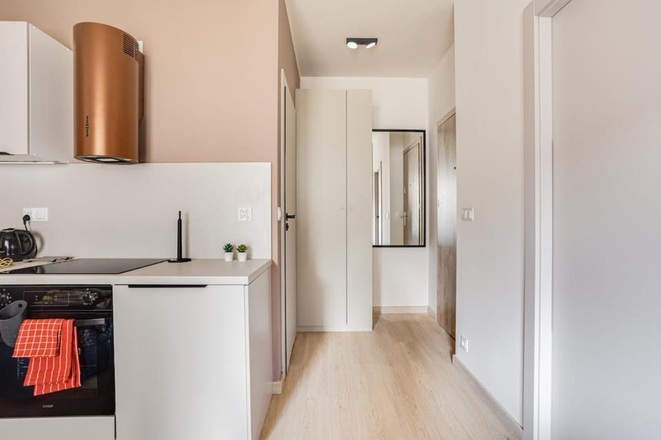 Kitchen or kitchenette, oven, stove